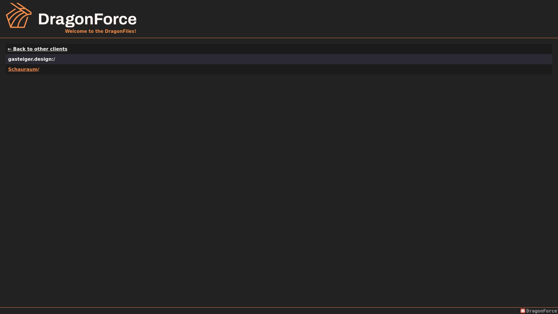 Screenshot of gasteiger.design leak page